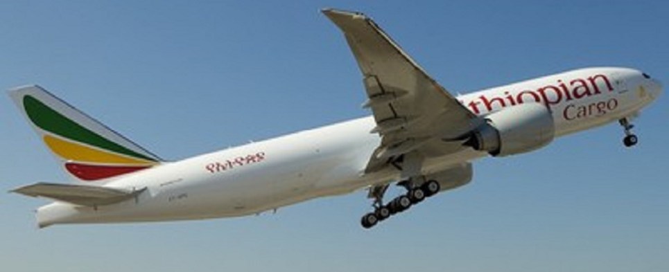 Ethiopian Airlines is carrying shipments of export cargo and import cargo in international trade to Miami.