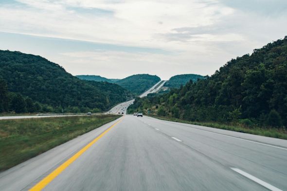 A road through the forest global trade remote