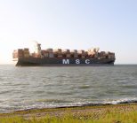 MSC loreto global trade