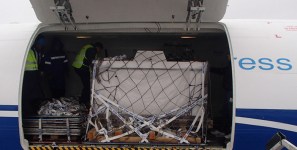 Unusual cargo of fish delivered by air cargo shipment in a logistics and supply chain feat.